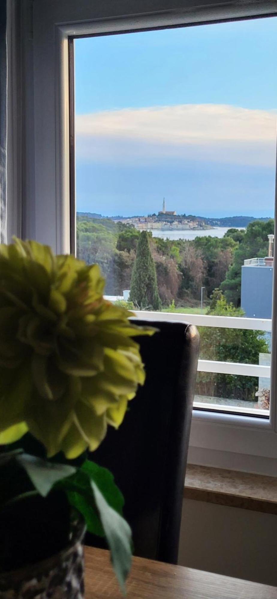 Villa Salvia Rooms And Apartments Rovinj Exterior foto