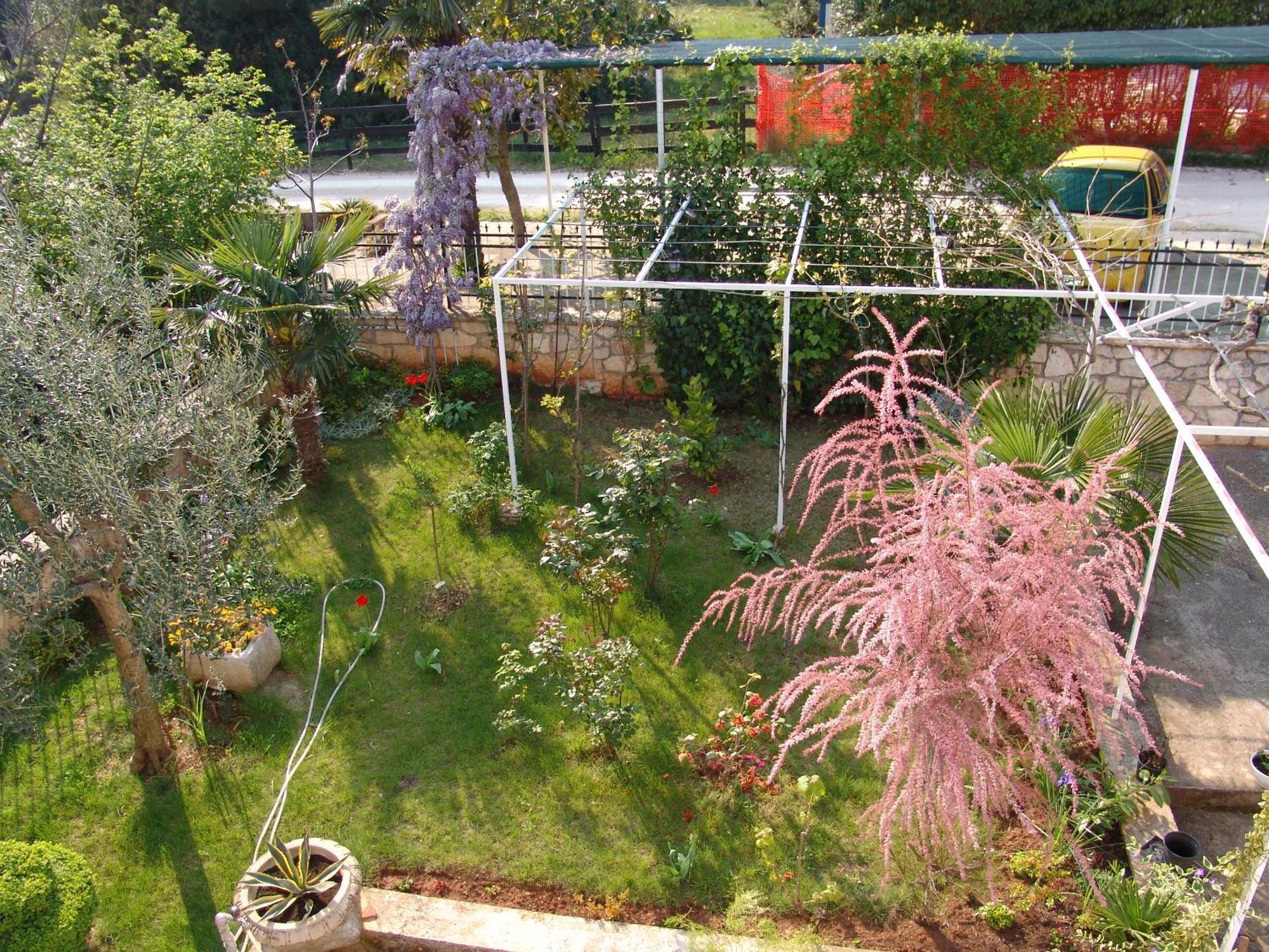 Villa Salvia Rooms And Apartments Rovinj Exterior foto
