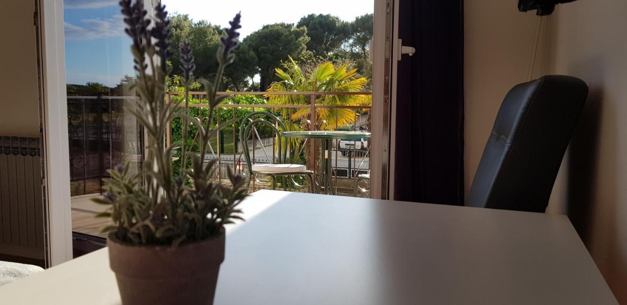 Villa Salvia Rooms And Apartments Rovinj Exterior foto